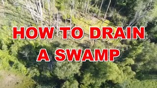 How to Drain a Swamp  8112020 [upl. by Anitsuga]