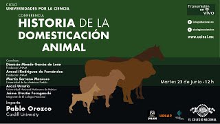 Historia de la domesticación animal [upl. by Aidnis]